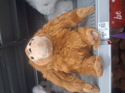 Munkie Meme Template