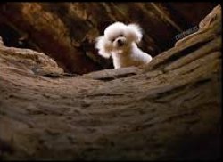 princess Meme Template