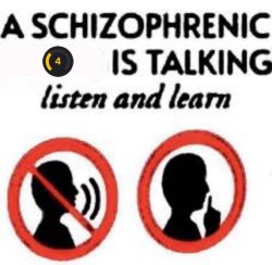 a schizophrenic is talking Meme Template