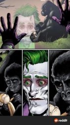 Joker and the monkey Meme Template