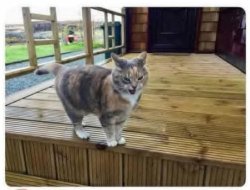 We welcome you Meme Template