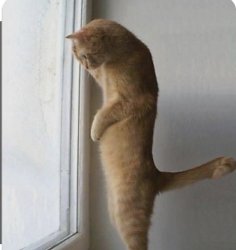 That’s a lot more zombies than usual Meme Template