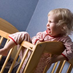 Chrisjoines1 Meme Template