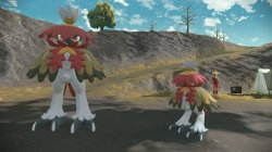 big owl small owl Meme Template