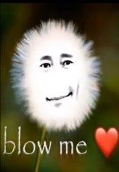 Blow me❤️❤️ Meme Template
