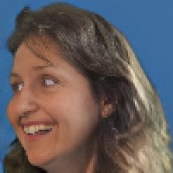 Insane Diana Meme Template