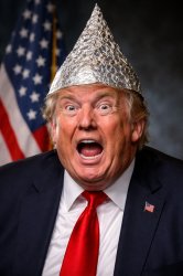 Trump tinfoil hat senile dementia crazy insane weird berserk Meme Template