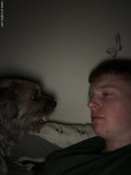 Dog talk but fixed Meme Template