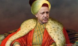 Turkey Meme Template