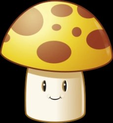 Sun-Shroom Meme Template