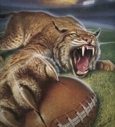 Bobcat Meme Template