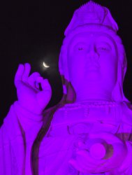 Indigo Buddha Meme Template