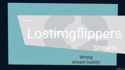 Meet the Lostimgflippers Stream Meme Template