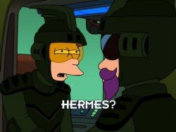 Futurama Fry Hermes? Meme Template