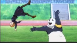 Panda yeeting Nobara JJK Meme Template
