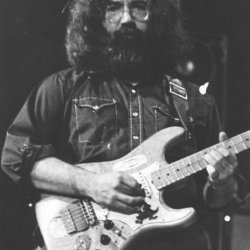 Jerry Garcia Meme Template