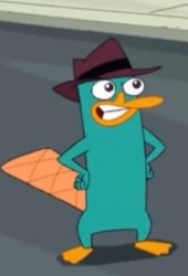 Perry Meme Template