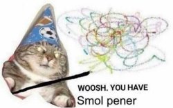Woosh You have a Smol Pener Meme Template