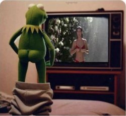 Kermit TV Meme Template