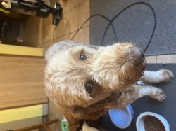 Deep Thought Doodle Meme Template