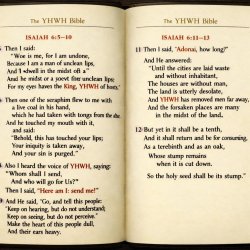 Isaiah 6:5–10 and 11-13, using YHWH Bible Meme Template