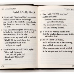 Isaiah 6:5–10; 11-13, using YHWH Bible Meme Template
