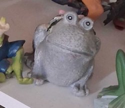 Seen Some Stuff Frog Meme Template