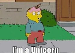 I'm a Unicorn Meme Template