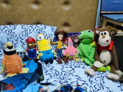 Plush Team Meme Template