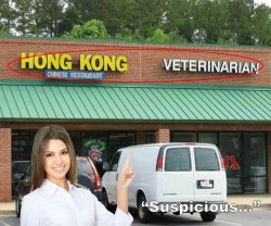Vet of Chinese Food Meme Template