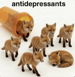 fox antidepressants Meme Template