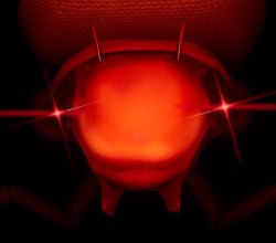 Jeff the Roach Meme Template