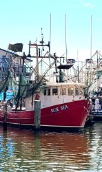 Shrimp Boat Meme Template