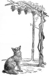 Aesop's Fox Meme Template