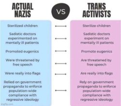 Trans Activists  are nazis Meme Template