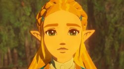 Princess Zelda Meme Template