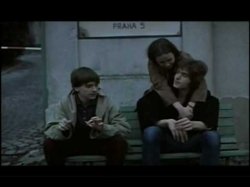 vis co saso? Meme Template