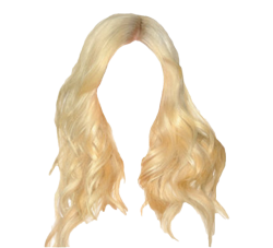 Blonde hair Meme Template