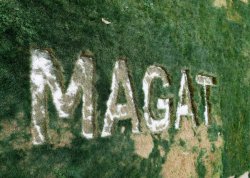 MAGAt burned into lawn Neighbors Friends Day of Rage Meme Template