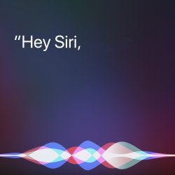 hey siri Meme Template