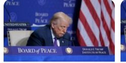 Trump Board of Peace Meme Template
