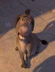 Donkey eyes Meme Template
