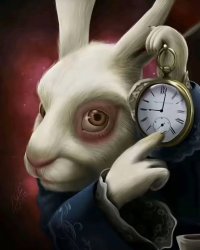 All roads lead to Rome Meme Template