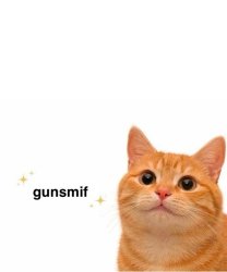 gunsmif Meme Template