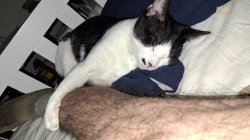 Good Human Meme Template