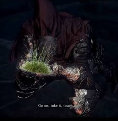 Touch Grass Meme Template