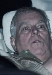 Arnie Mountbatten Windsor Meme Template