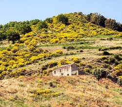 Send him 2 3 Calabria and forget Meme Template