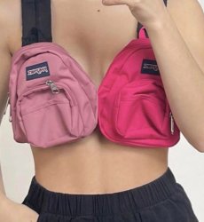 Funbags Meme Template