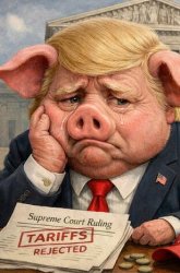 Trump Tariffs Rejected - Quiet, Piggy! Meme Template